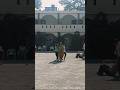 Idhar Daud Hai Udhar Daud Hai Shortsviral Entertainment Masti Music