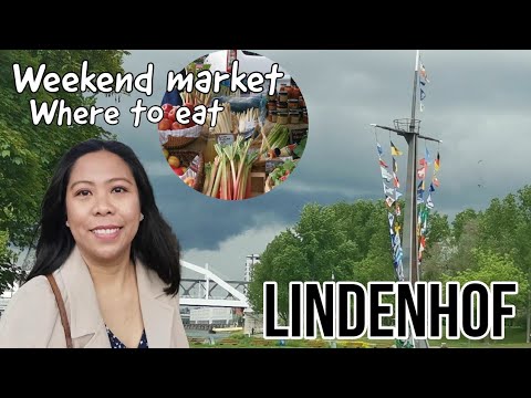 Idyllic Lindenhof, Mannheim Tour