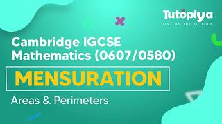 Areas and Perimeters