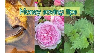 Free soil conditioner and plant feed| Budget tips for growing roses 🌹 