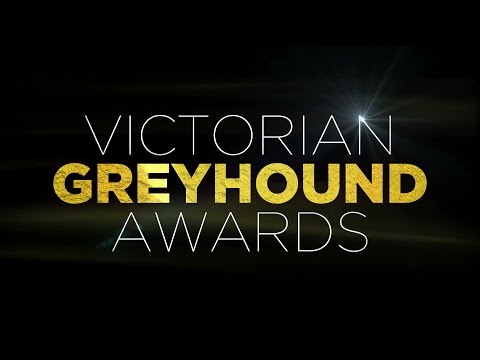 2015/16 Victorian Greyhound of the Year
