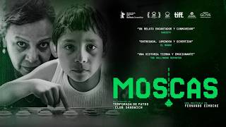 Moscas