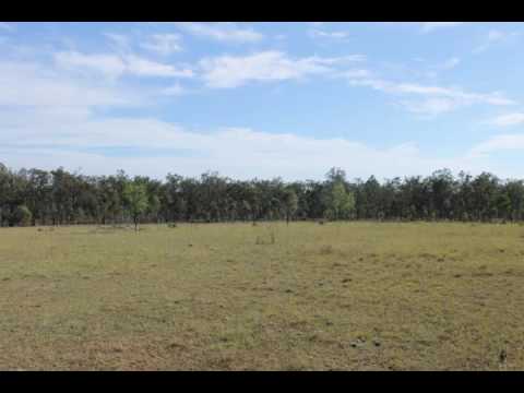 Mount Forbes - 184.76 Acres* With 2 Road Frontage