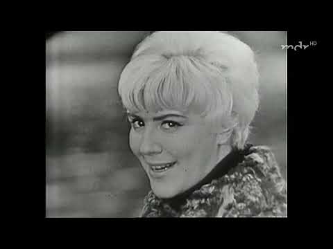 1967- Bärbel Wachholz-So war es-Ausschnitt-Dresden- Blaues Wunder-Loschwitz-Fernsehturm- Wachwitz