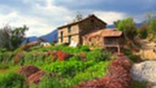 Didna Village Houses, Uttarakhand 
