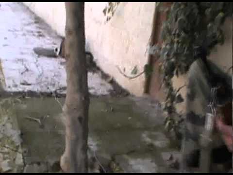 اشتباكات بين كتيبة الوادي وقوات النظام خلال تحرير مبنى مديرية المنطقة في القصير