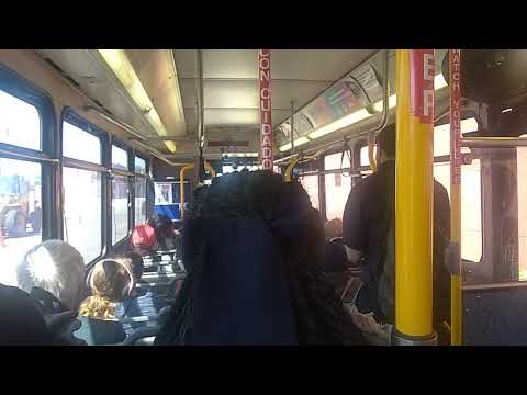 NFTA 2005 Gillig Low Floor #2509 (Ticking engine and High AC)