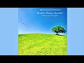 Raymond Scott Woolson - Broken Things Mended (full album)(2020)