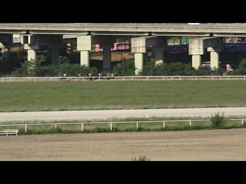 3.7.2022 - V Trka - INTERNACIONALNA TRKA "RESTORAN UZELAC" - Hipodrom Beograd