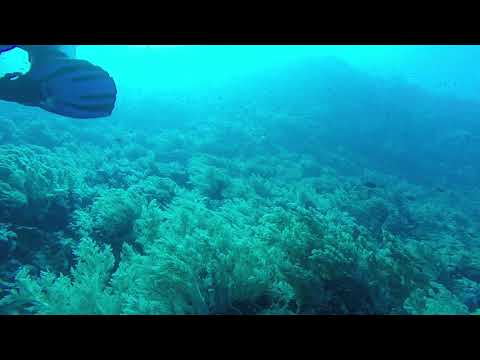 Peter Talentfrei beim Tauchen bei den Brother Islands