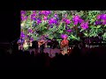 Jimmy Buffett, “Wildflowers” (Oct. 13, 2017, Rogers Arena, Vancouver)