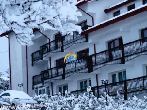 Pensiunea Bradul - Tomesti - www.tourtravel.ro