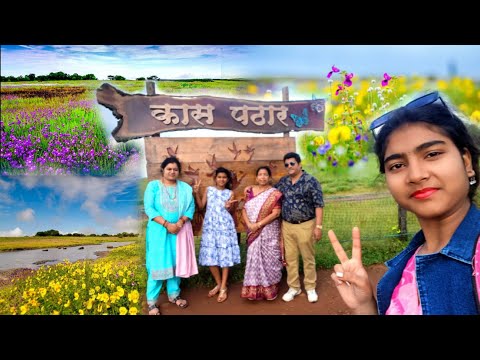 Kaas Pathar | Kaas Pathar Satara | Kaas Plateau 2025