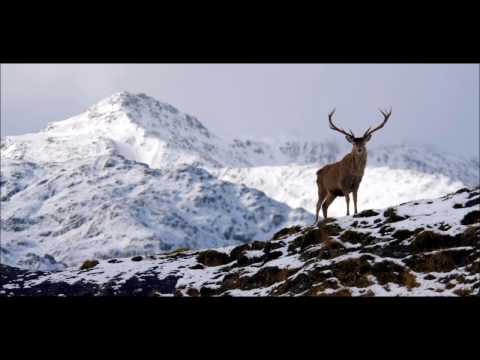 Psalm 40 to Ballerma (PSALM SINGING)