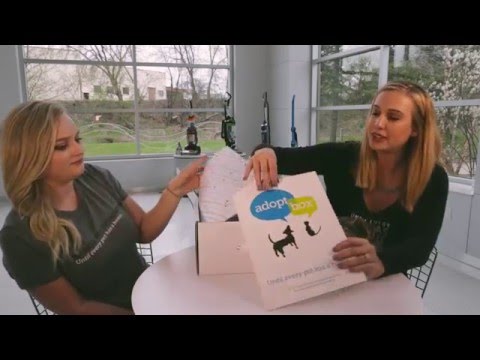 Cat AdoptBox - Unboxing