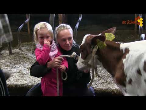Boert Bewust, Boerderij/camping de Tienmorgen Beers