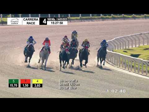 250504 c04 SUGAR BITE