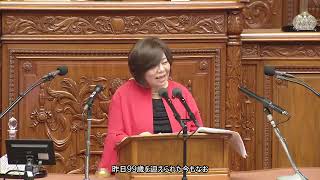 【字幕付き】20260616 衆議院 本会議 06 井戸まさえ国民民主党・無所属クラブ