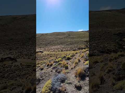 La INMENSIDAD de la #estepa invita a #caminar #short #verano 2025 #trekking C° La Cruz El Maiten