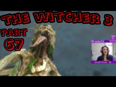 Lowco2525 plays: The Witcher 3! (Part 67)