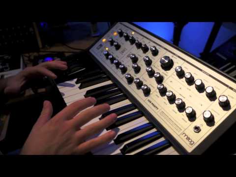 MOOG Sub Phatty:  Making Electro/EDM Synth Sounds on Analog Synths