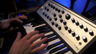 MOOG Sub Phatty:  Making Electro/EDM Synth Sounds on Analog Synths