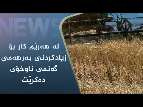 بەڤیدیۆ.. لە ھەرێم کار بۆ زیادکردنی بەرھەمی گەنمی ناوخۆی دەکرێت