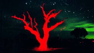 Bitstream - Crab Nebula
