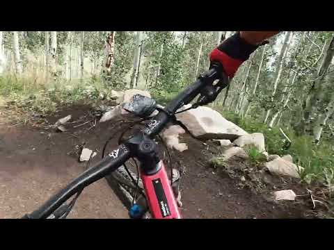 Loop of Wowza and DH from WOW