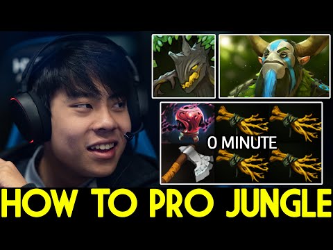 ANA [Nature's Prophet] How to Pro Jungle at 0 Min Funny Game Dota 2