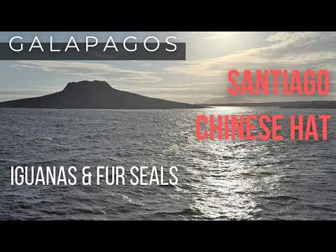 ISLA SANTIAGO & ISLA SOMBRERO CHINO: Iguanas, Sea Lions, Fur Seals & Snorkeling in the Galápagos