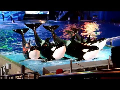 Christmas Miracles ~ Finale