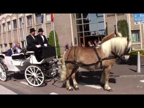 Trouwdag Yves Segers en Tom Bruggeman in Herzele