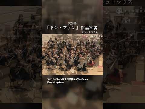 交響詩 ドン・ファン 作品20