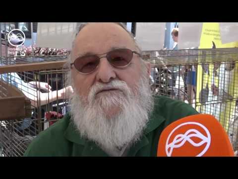 Omroep Berg en Dal TV - Aflevering 162 (05-06-2017)