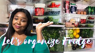 SMALL FRIDGE ORGANIZING | DECLUTTERING | SOUTH AFRICAN YOUTUBER |