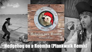 Cover art for HEDGEHOG