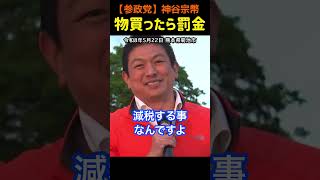 【物買ったら罰金！】減税しかない！所得が低すぎる！神谷宗幣#参政党