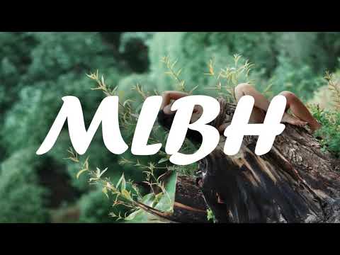 K U L I B E ( stylez678 ) 2020