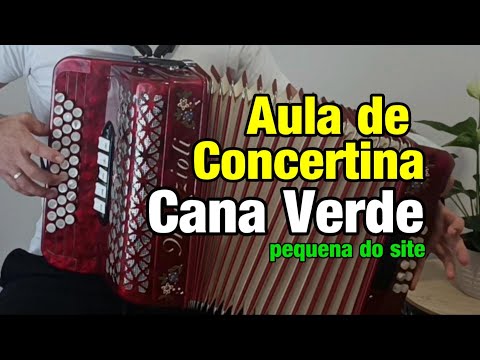 ✅ Aprende Como tocar Cana Verde pequena do site passo a passo - AULA DE CONCERTINA PARA INICIANTES