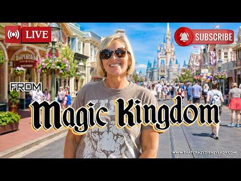 Live webcam of That Crazy Disney Lady