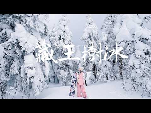 【日本東北🇯🇵】EP1藏王樹冰｜攻略🌟藏王溫泉滑雪場⛰️｜過年滑雪花了多少錢｜超幸運！晴天的藏王樹冰⛩️｜藏王Ski In &amp; Ski Out 飯店！♨️｜交通住宿全攻略🚌｜｜Action5 Pro📸