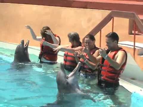 Swim with the Dolphins at Baconao Park, 