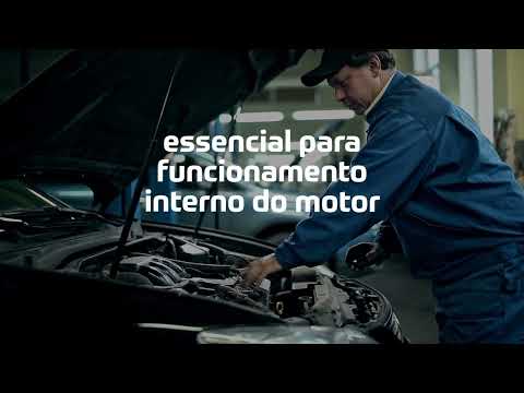 Correias, polias e tensionadores