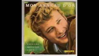 Johnny Hallyday - Mon anneau d'or (cover)