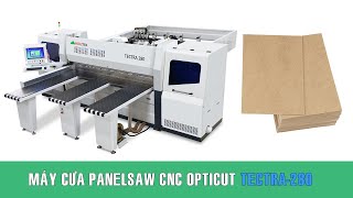 Máy cắt ván CNC panelsaw TECTRA-280