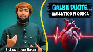 Ustaz Ibsa Hasen:Mallatto qalbii duute fi Gorsa qalbii