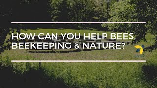 How Can You Support Bees, Beekeepers & Nature?