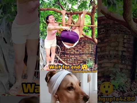Doggy lovers #puppy #doggielife #funny #pets rule