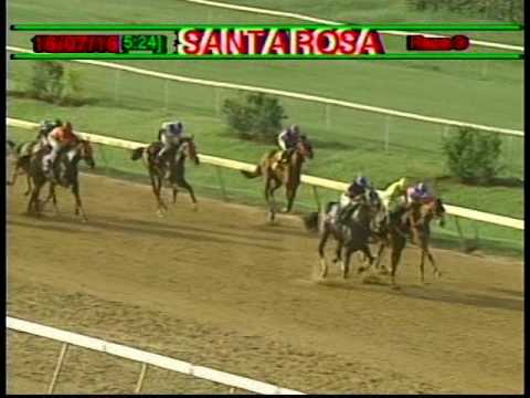 Arima Race Club - Day 25 - July 16, 2016 - Race-9